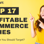 What Are The Top Profitable Ecommerce Niches In 2024?